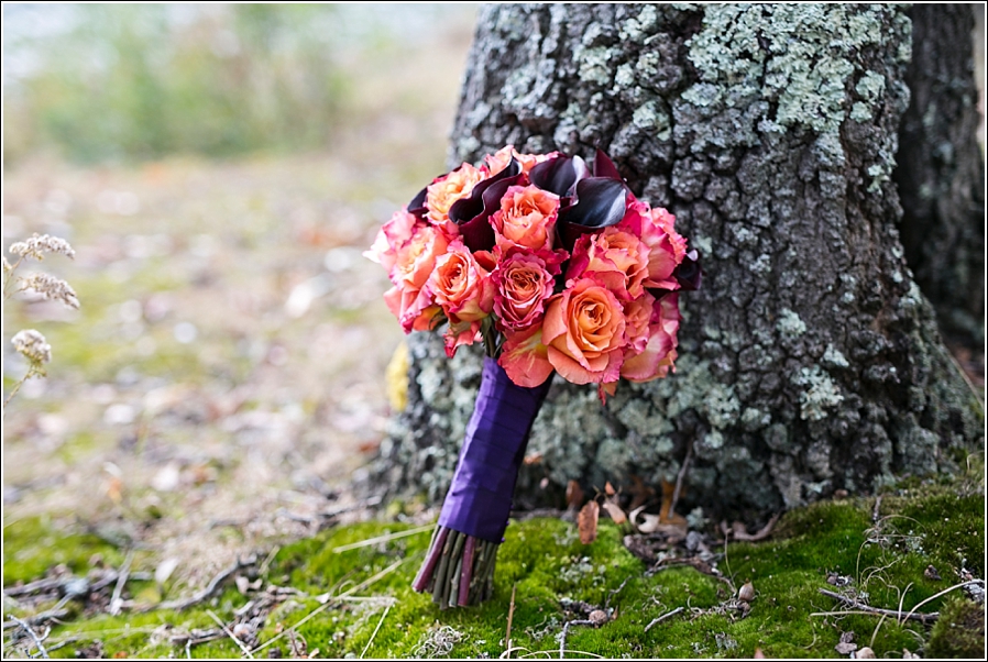 Chillicothe Ohio Wedding Photographer