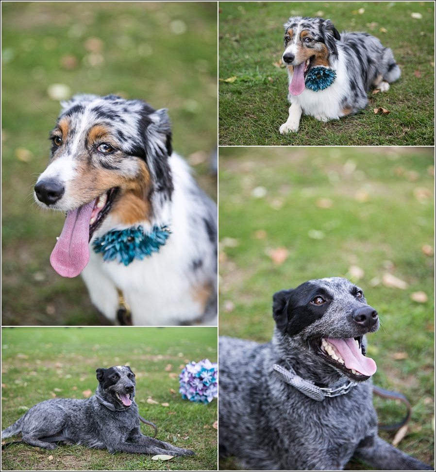 2016-10-03_0021