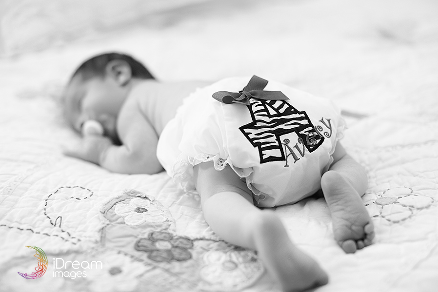 Chillicothe Ohio Photographers