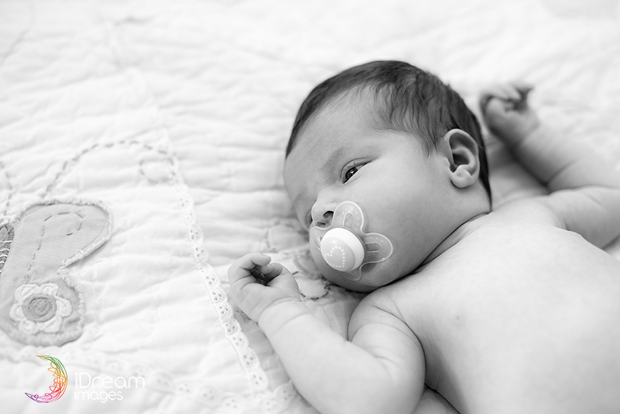 Chillicothe Ohio Family Photographers