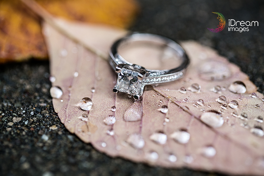 Columbus Ohio Wedding Photographer