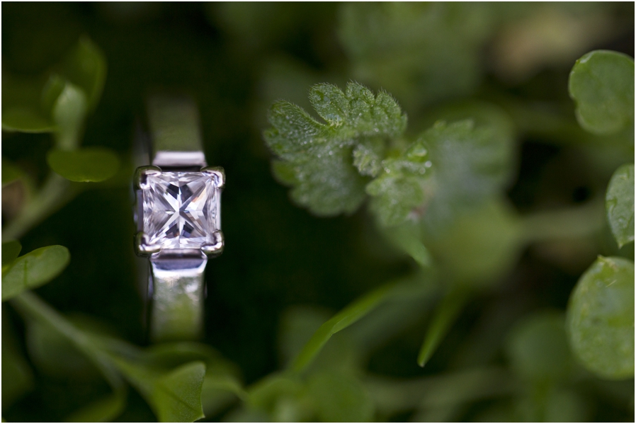 Chillicothe Ohio Engagement Photographer
