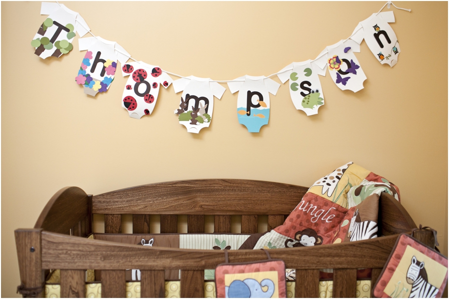 Chillicothe Ohio Newborn Photographer